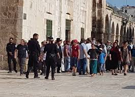   66 مستوطنًا يهوديا استباحوا حرمة المسجد الأقصى صباح اليوم الخميس