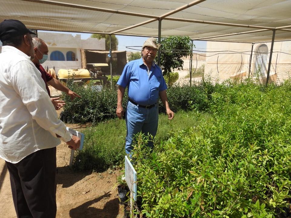   «الزراعة»: نائب رئيس مركز بحوث الصحراء يتفقد أنشطة التنمية المستدامة بمحافظة مطروح 