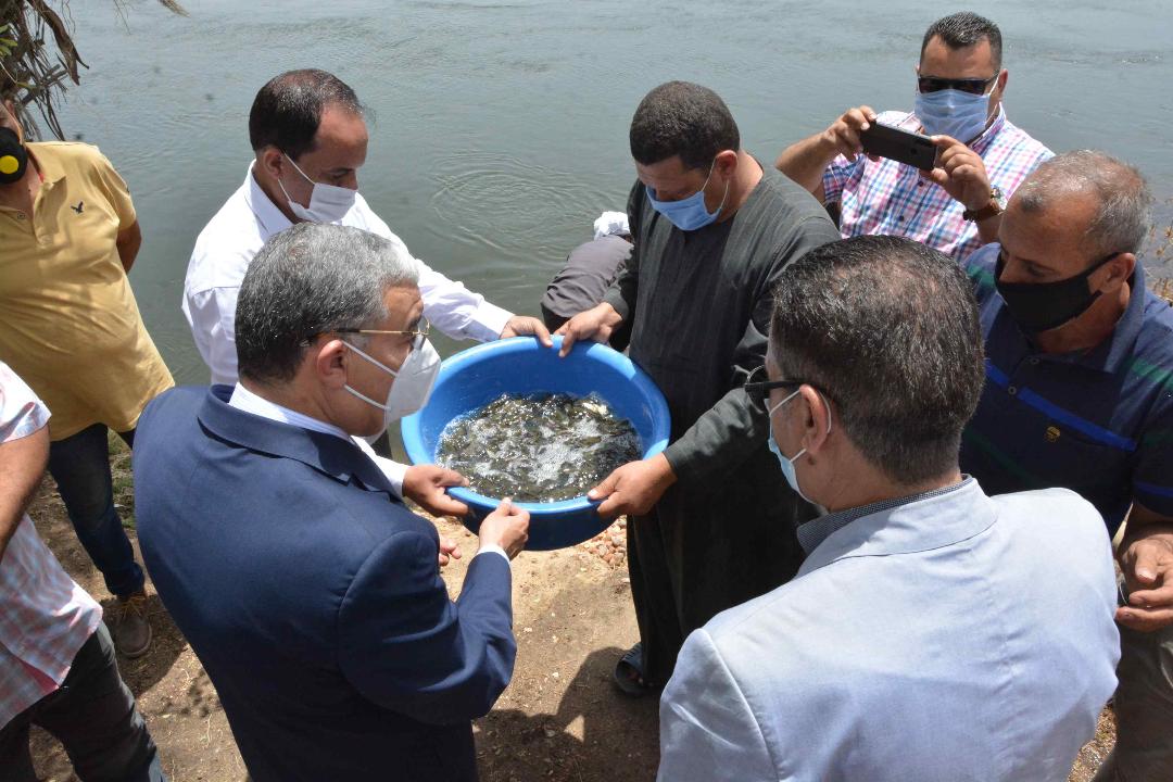    إلقاء مليون زريعة سمك بنهر النيل بالمنيا.. والمحافظ: يحقق وفرة اقتصادية