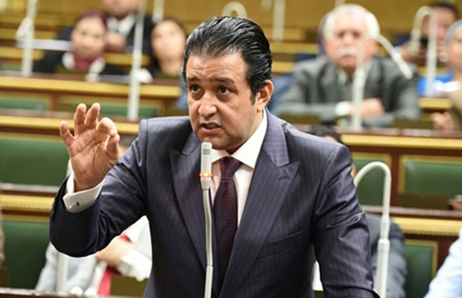   رئيس «حقوق الإنسان» يطالب باتخاذ موقف رادع من الانتهاكات ضد المصريين في الخارج