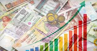   "فيتش سوليوشنز": قرارات الحكومة تدعم معدلات نمو الاقتصاد المصري
