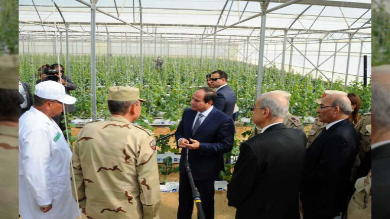   وزير الزراعة: الرئيس السيسى وضع مصر على طريق النهضة الزراعية الحقيقية بعد عقود من الإهمال