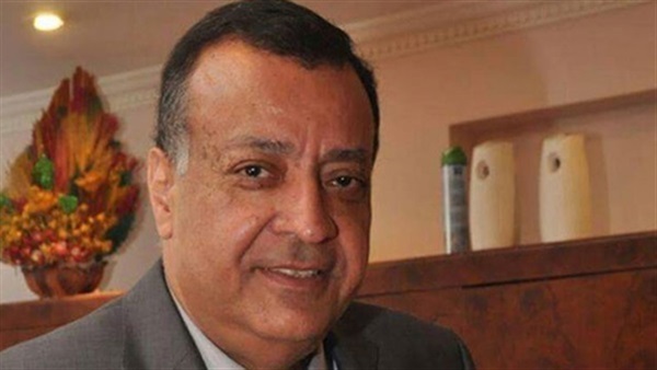   محمد سعد الدين: القيادة السياسية تحقق الاستغلال الأمثل لموارد مصر من الغاز