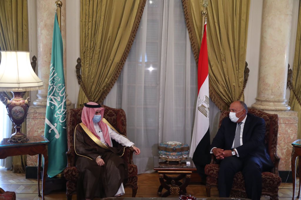   وزير الخارجية يبحث مع نظيرة السعودي تطورات الأوضاع على الساحة الإقليمية