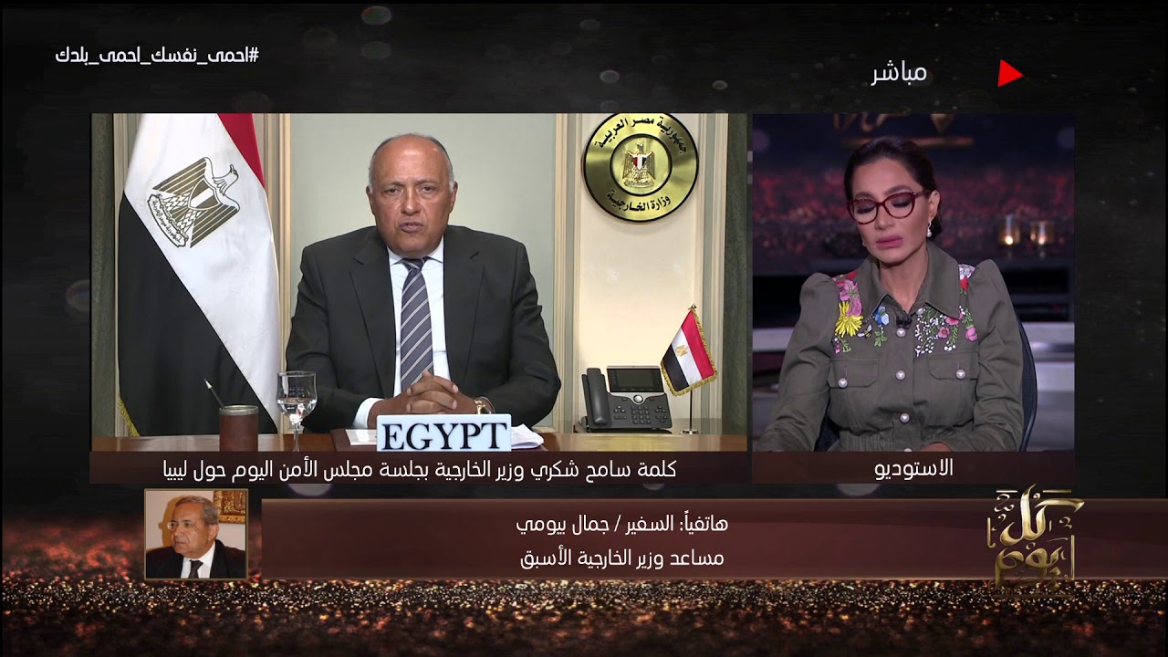   السفير جمال بيومى يشيد بكلمة وزير الخارجية أمام مجل الأمن.. فيديو