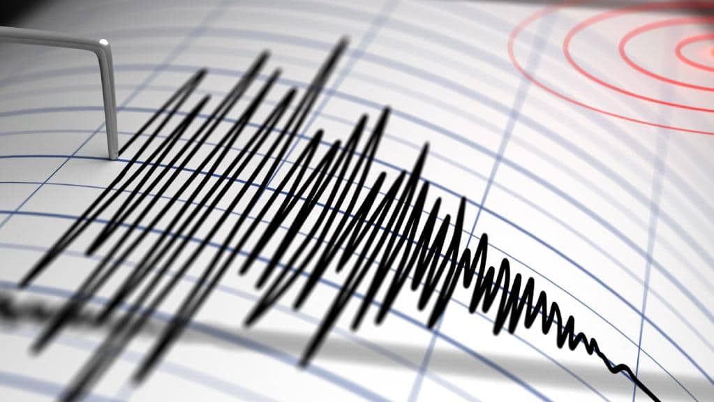   زلزال قوى يضرب ولاية إزمير التركية