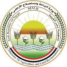   الزراعة: ارتفاع صادرات مصر الزراعية لـ أكثر من 3.9 مليون طن والبطاطس تحتل المركز الثاني بعد الموالح