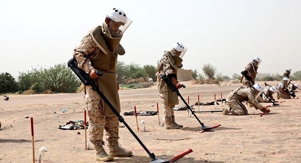   «مسام» ينتزع 1,257 لغمًا في اليمن خلال أسبوع    