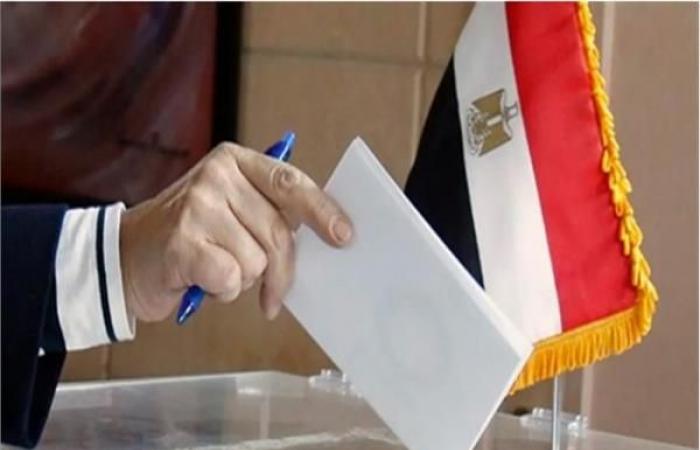   بدء تصويت المصريين بالخارج لمجلس الشيوخ في فرنسا وإيطاليا وألمانيا وجنوب إفريقيا
