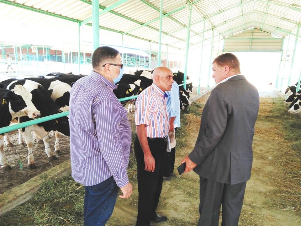   وكيل وزارة الزراعة بالبحيرة فى زيارة مفاجئة لمزرعة  «الإيمان» للثروة الحيوانية بالمحمودية 