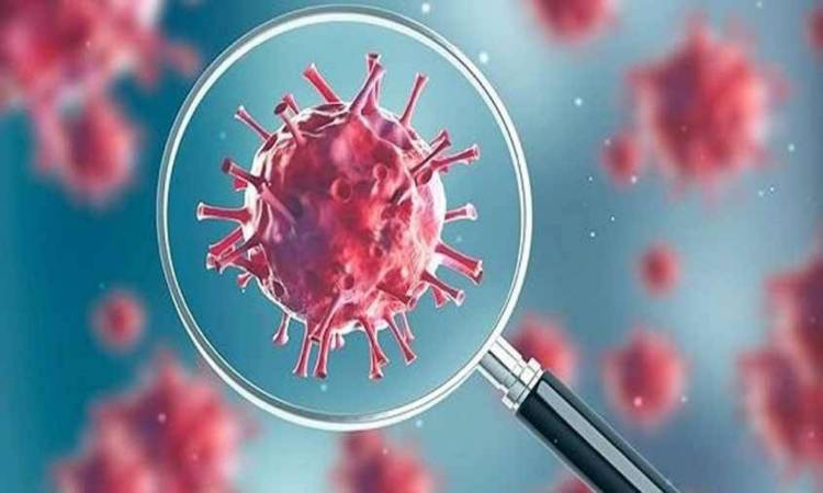   الصحة: تسجيل 123 حالة إيجابية جديدة لفيروس كورونا.. و 19 حالة وفاة
