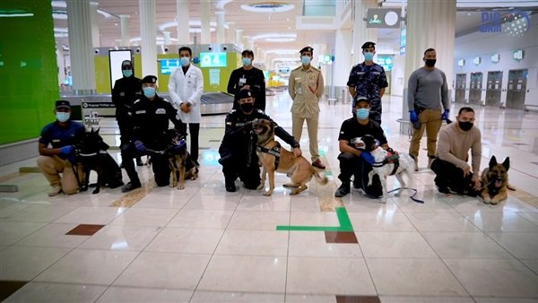   مطار دبي يكشف عن فيروس كورونا بواسطة كلاب مدربة