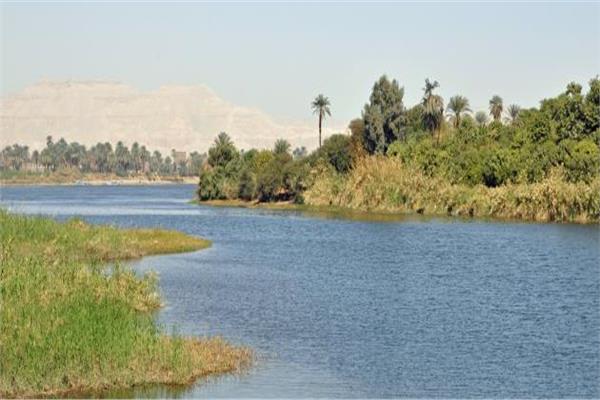   حقيقة بيع بعض جزر نهر النيل التابعة للمحميات الطبيعية لمستثمرين أجانب