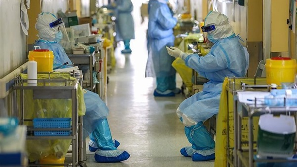   النمسا تسجل 684 إصابة جديدة بفيروس كورونا