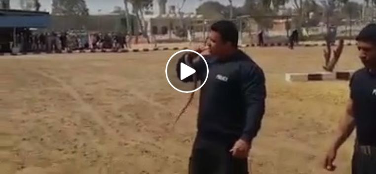   شاهد | كيف يأكل الشهيد البطل عمرو عبد المنعم ثعبانا أثناء التدريب