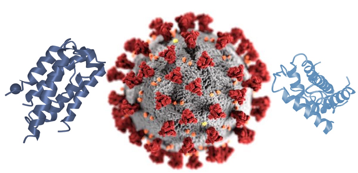   الصحة: تسجيل 361 حالة إيجابية جديدة لفيروس كورونا