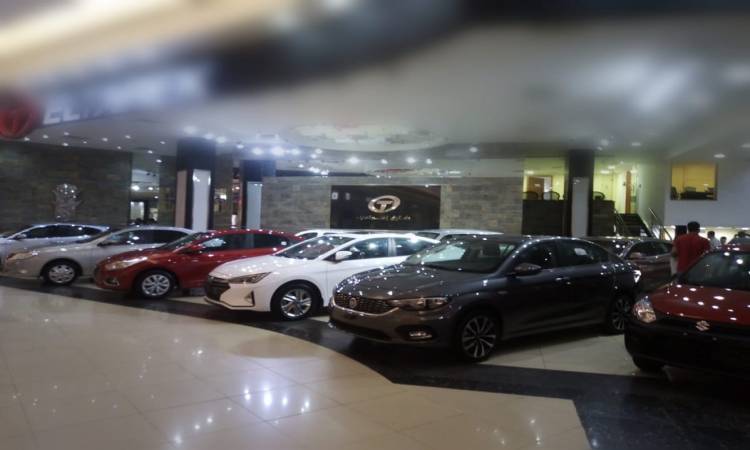   عاجل| حماية المستهلك تحيل 26 معرض لبيع السيارات إلى النيابة العامة