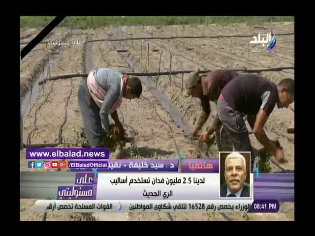   الزراعة: 70 % من عدد الحائزين فى مصر حيازتهم أقل من فدان