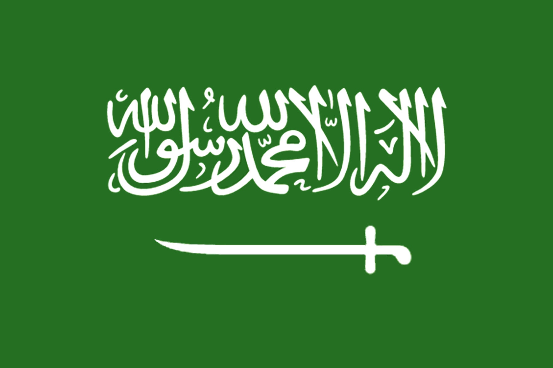    السعودية تقود أعمال مجموعة العشرين باقتدار في عام استثنائي