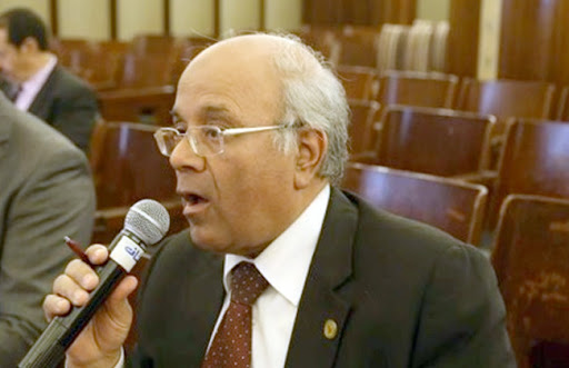   محمد الفيومى: البرلمان المقبل مهم للحياة السياسية وعلينا ترجمة هذه الجهود تحت قبة المجلس