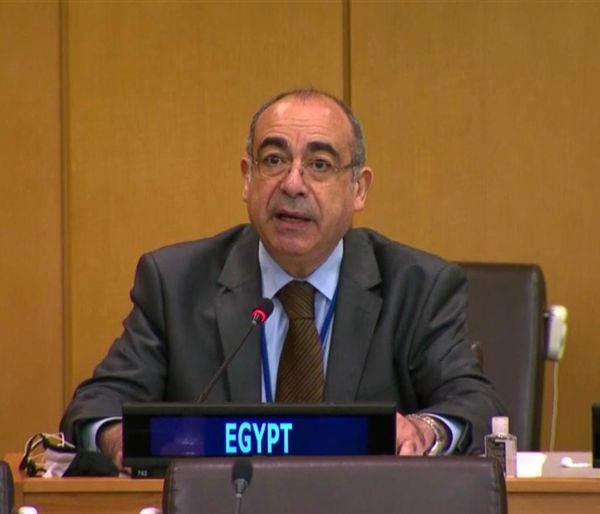   مصر تؤكد على دورها في صياغة وإرساء مبادئ القانون الدولي للعلاقات الودية بين الدول