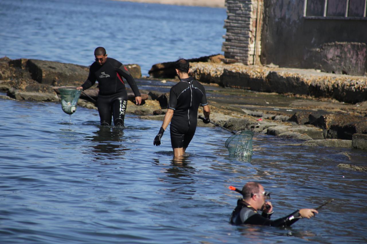   الإسكندرية : تستعد لاحتفالية تنظيف البيئة البحرية بإزالة ٢ طن يوميا
