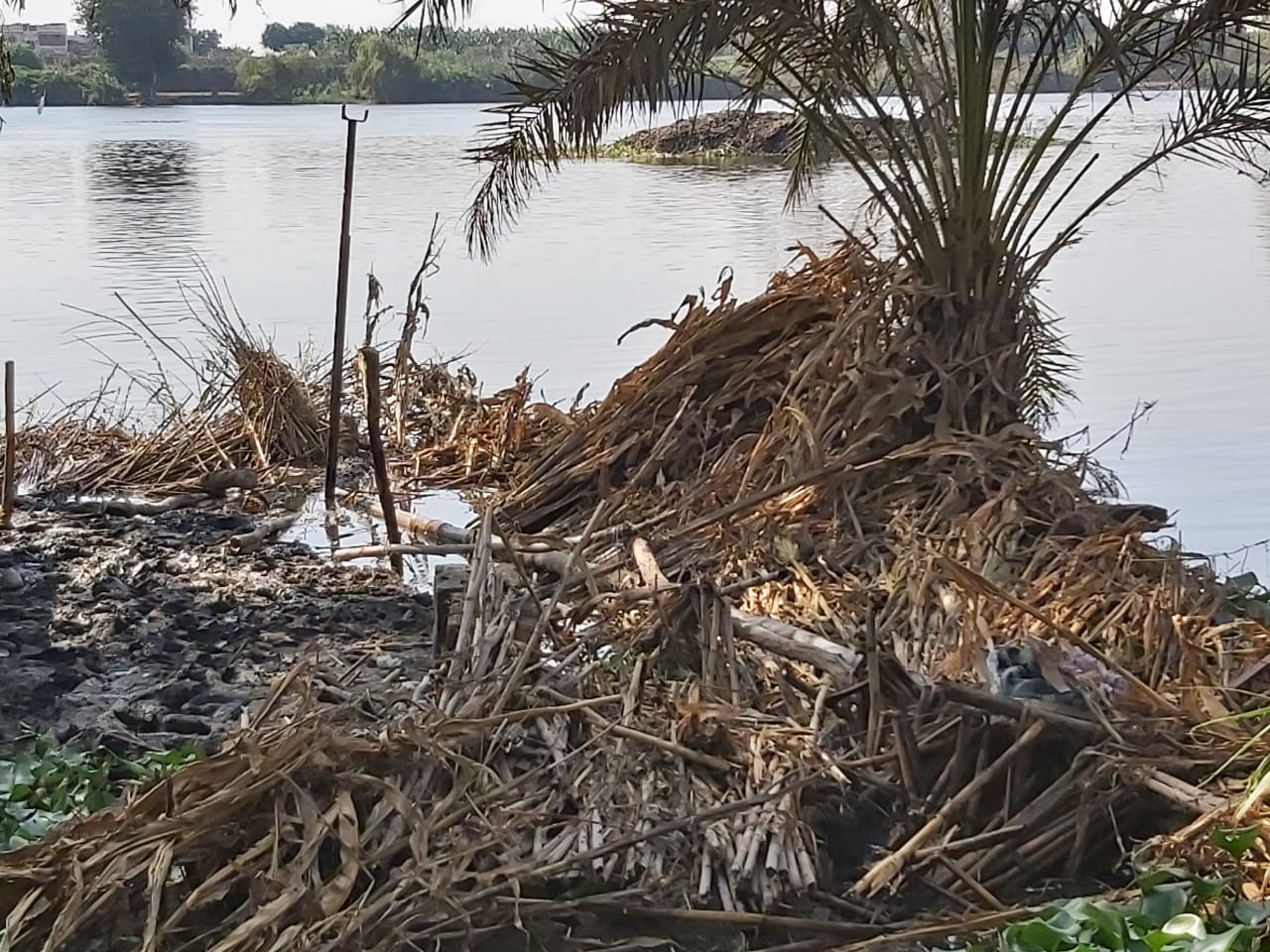   الرى: إزالة 282,241 ألف مخالفة على نهر النيل والمجاري المائية