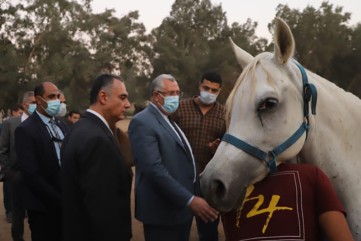   وزير الزراعة يتفقد أعمال تطوير ورفع كفاءة محطة الزهراء للخيول العربية