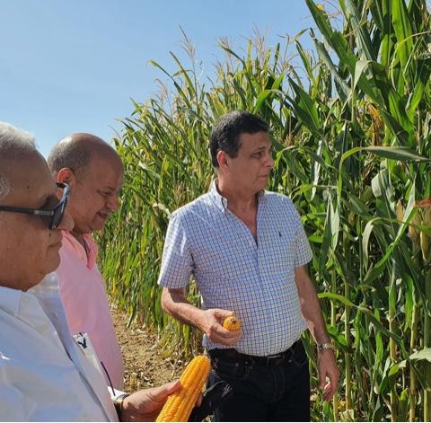   «فاروق» يبحث سبل تمويل المشروعات الزراعية الكبرى في توشكى