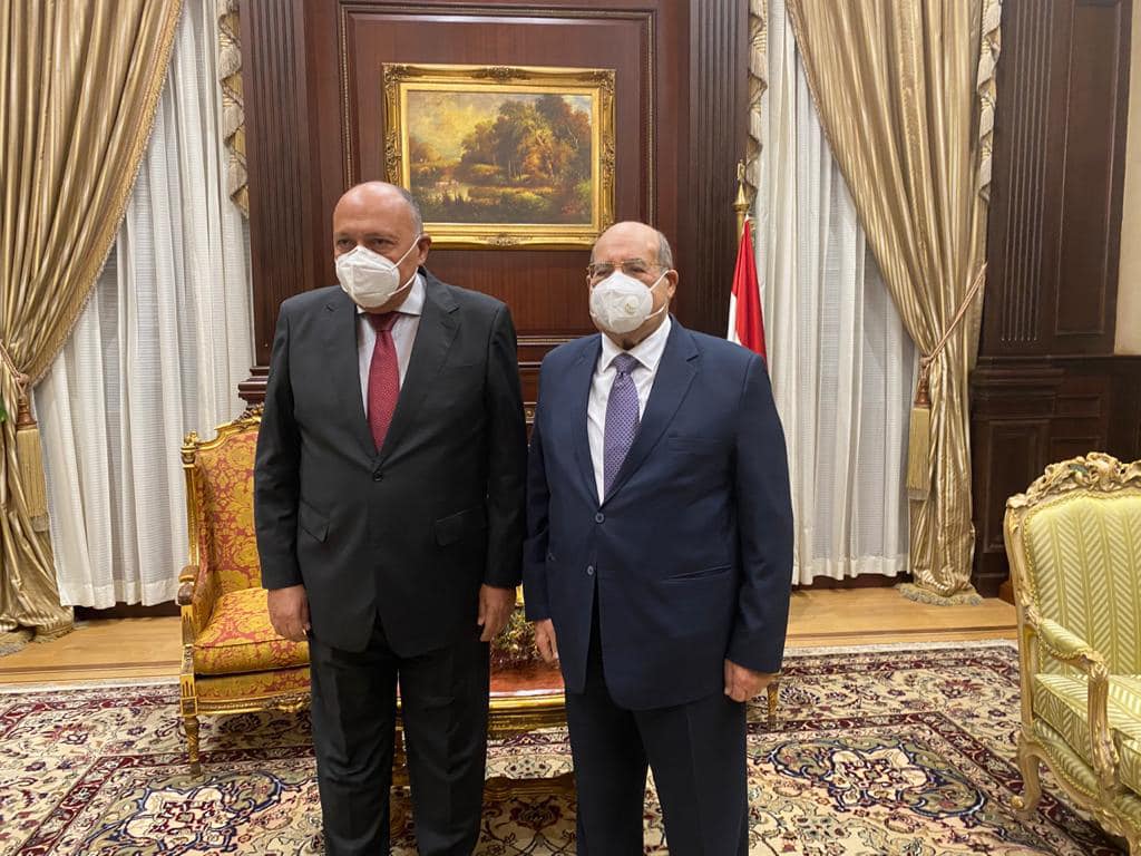 شكرى: الخارجية على تواصل مع مجلس الشيوخ
