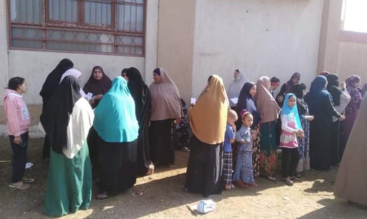   السيدات تزين المشهد الانتخابي في انتخابات النواب ببني سويف
