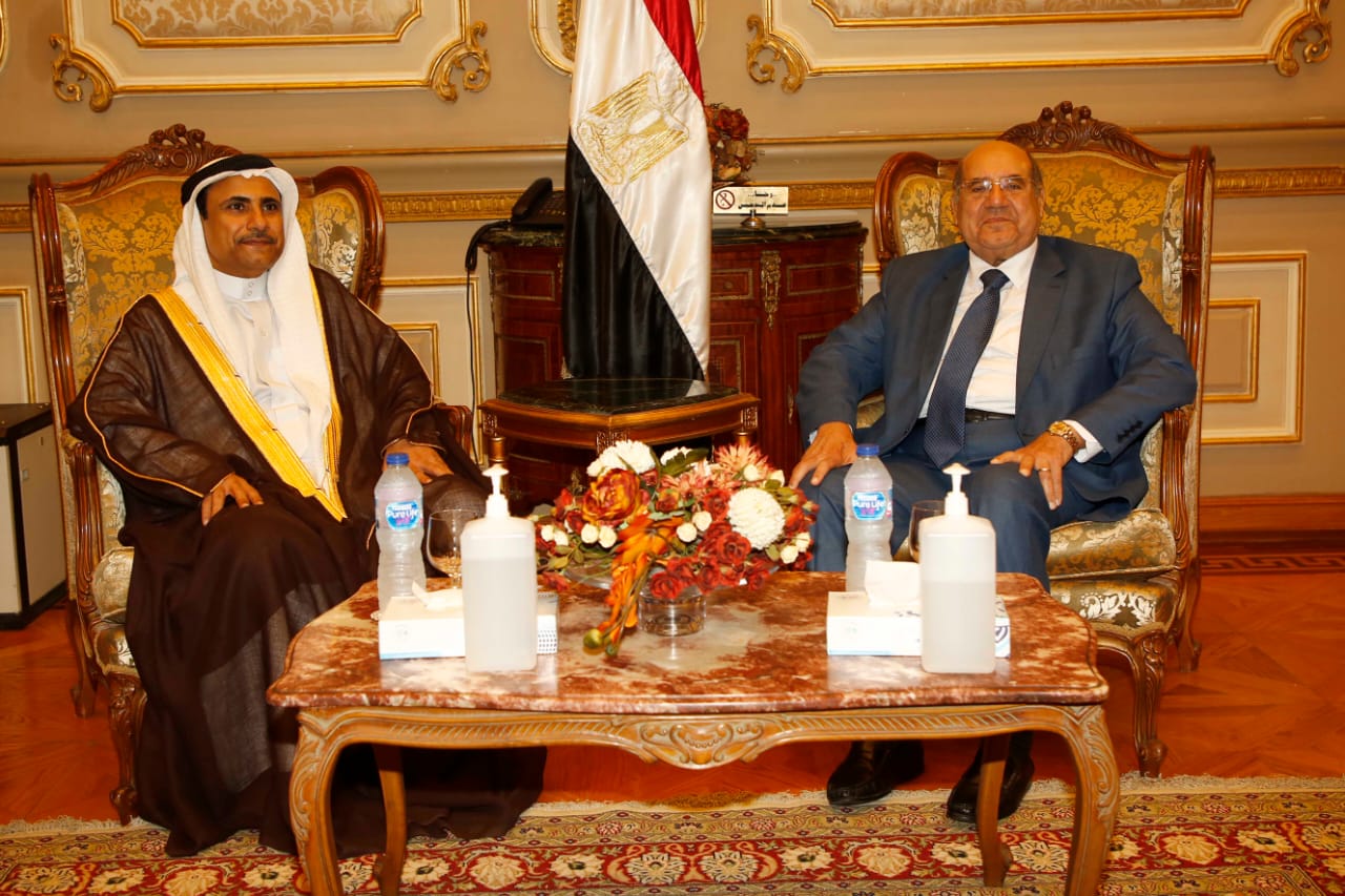   رئيس البرلمان العربي يلتقي رئيس مجلس الشيوخ المصري