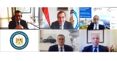   شركات بترول عالمية تضخ استثمارات جديدة بمصر