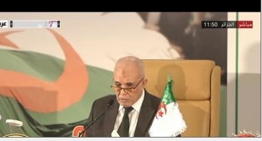   3 ملايين ناخب وافقوا على التعديلات الدستورية فى الجزائر