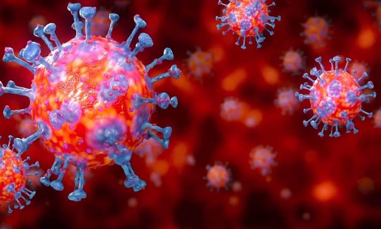   أكثر من 63 مليون إصابة بفيروس كورونا حول العالم