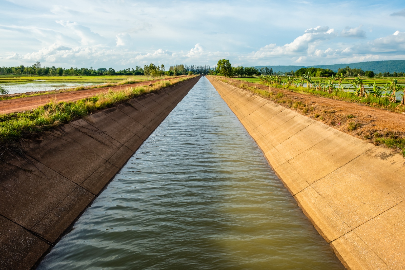   الحكومة تكذب بوار الأراضي الزراعية فى الفيوم بسبب وجود عجز مياه الري