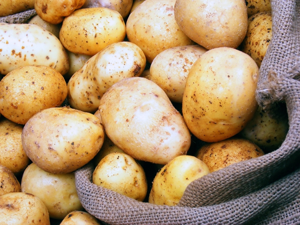   نجلاء بلابل: انخفاض أسعار البطاطس ليس له علاقة بتراجع التصدير