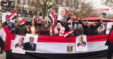   الجالية المصرية فى فرنسا تنظم وقفات ترحيب بالسيسي