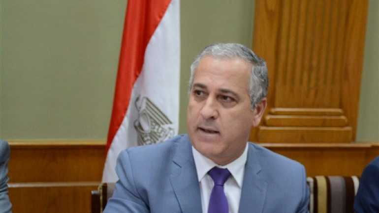   الشوربجي: الإصلاح الاقتصادي ساعد مصر فى مواجهة أزمة كورونا