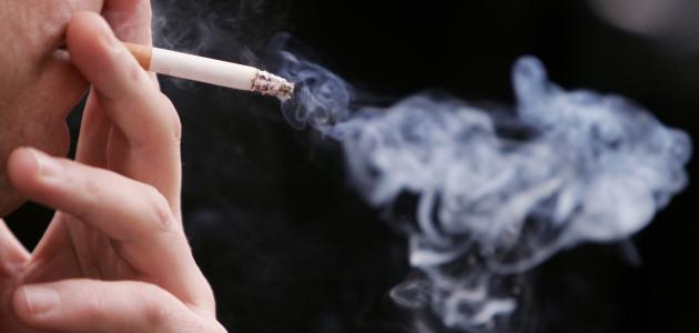   «الدالي»: التدخين يؤثر على الشرايين ويؤدى إلى انسدادها