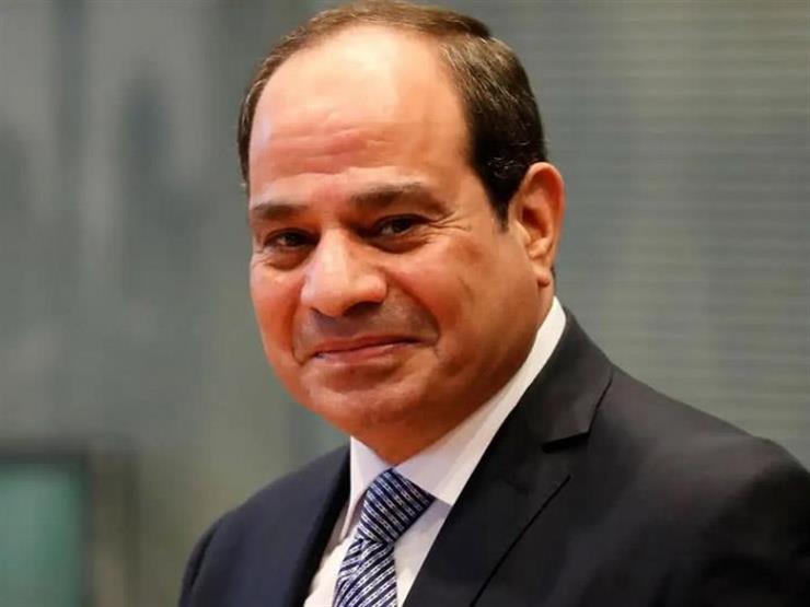 السيسي يستقبل رئيس مجلس إدارة «نافال جروب» الفرنسية