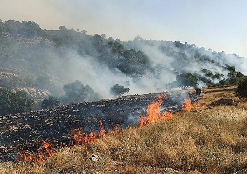   رجال الإطفاء يسيطرون علي حريق في غابات أستراليا
