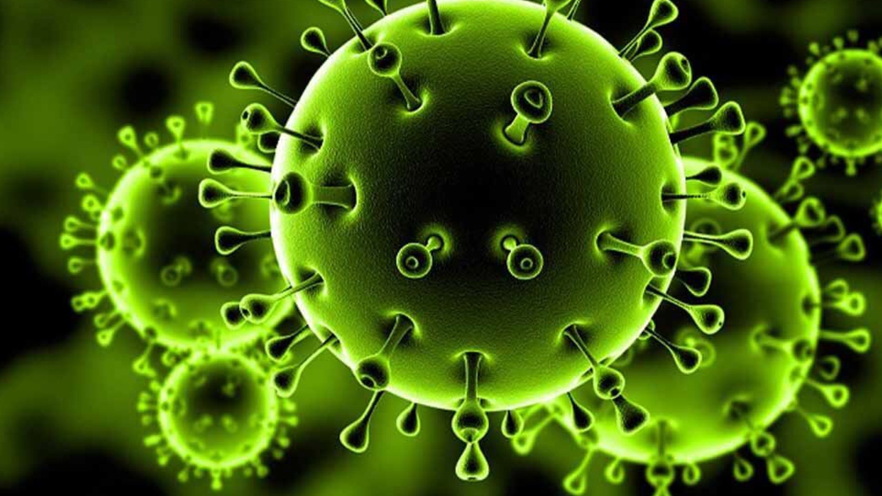 الصحة: تسجيل 664 حالة إيجابية جديدة بفيروس كورونا
