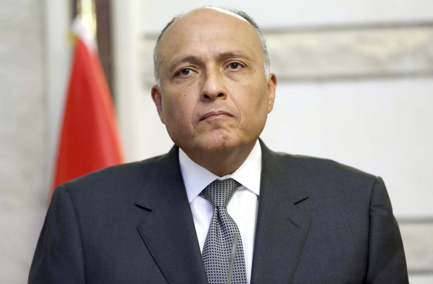   وزير الخارجية: رؤية مصر كانت واضحة بشأن الرسوم المسيئة للنبى