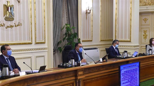   «الوزراء» يوافق على دمج صندوق تحسين الأقطان المصرية في «معهد بحوث القطن»