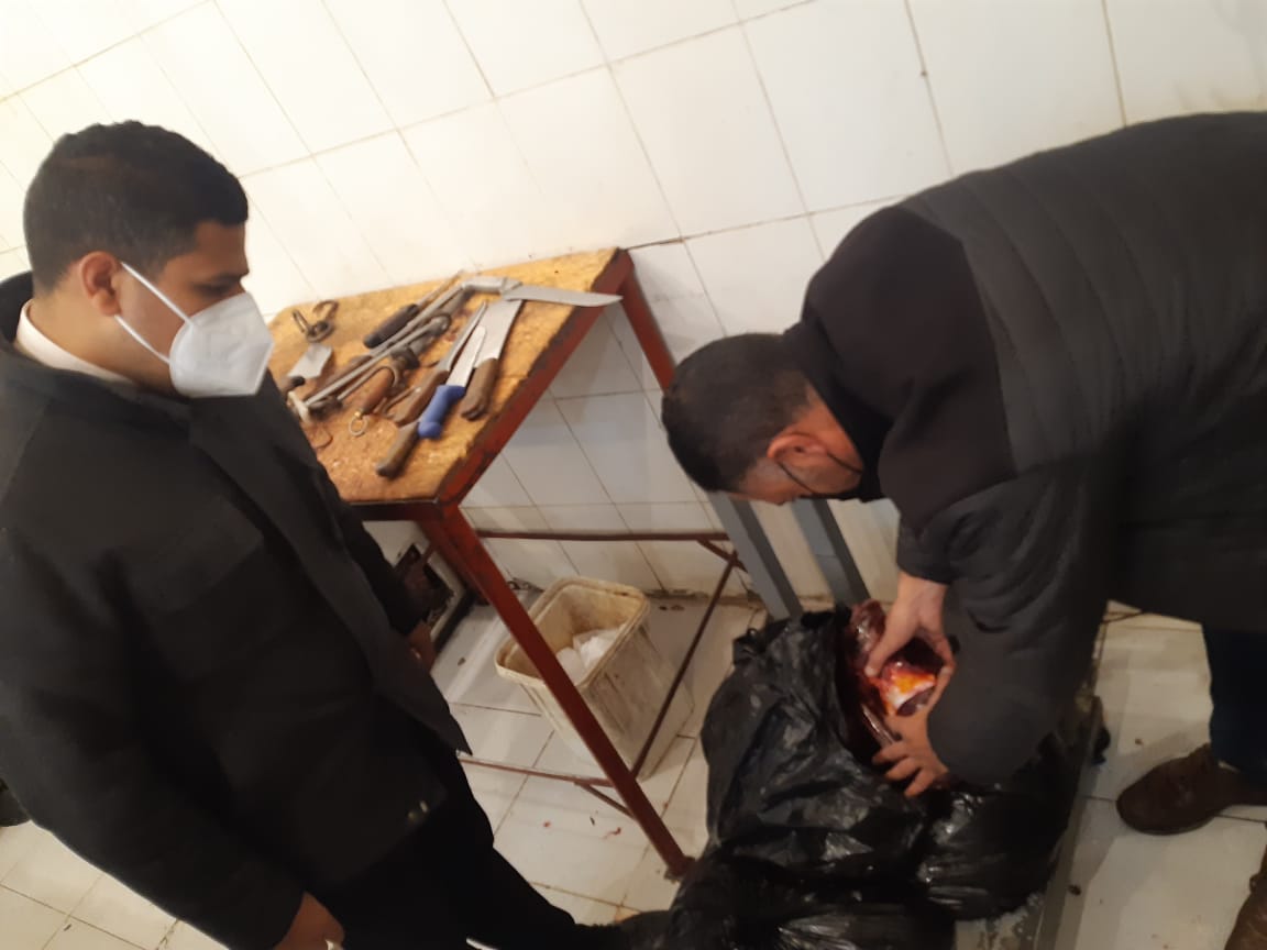   تموين الإسكندرية: ضبط ٢٥ كيلو جرام كبدة غير صالحة للاستهلاك الآدمى