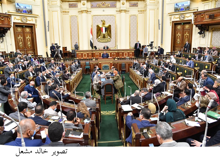  «العلاقات الخارجية بالنواب»: سياسة مصر الخارجية حكيمة ورشيدة