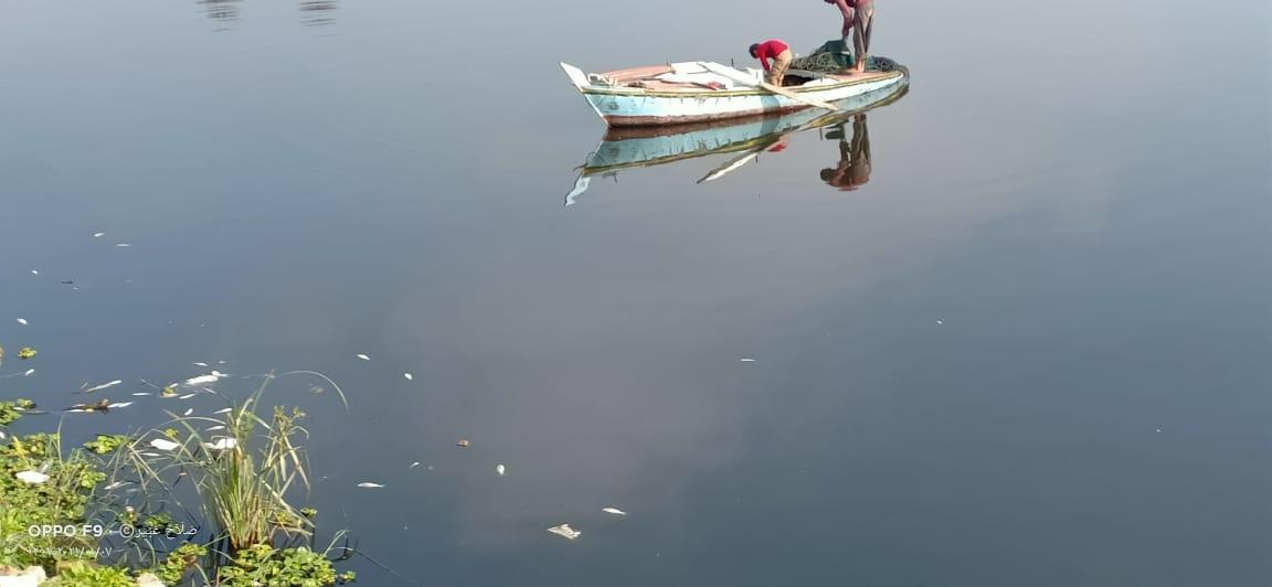   الرياح الشديدة تؤثر على حركة الصيد بكفر الشيخ