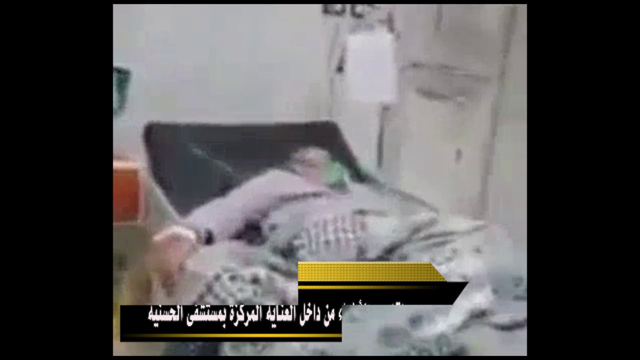   فيديو| «دار المعارف» داخل العناية المركزة لمستشفى الحسينية فى الشرقية