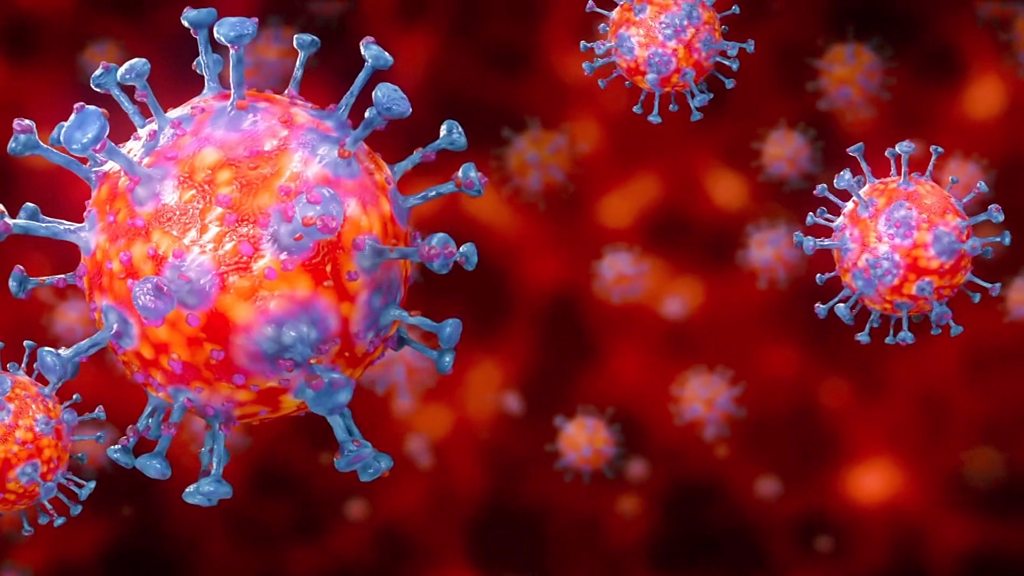   أيمن سالم: يوضح أبرز أسباب سرعة انتشار فيروس كورونا